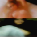 Sexy breasts bras woman sex